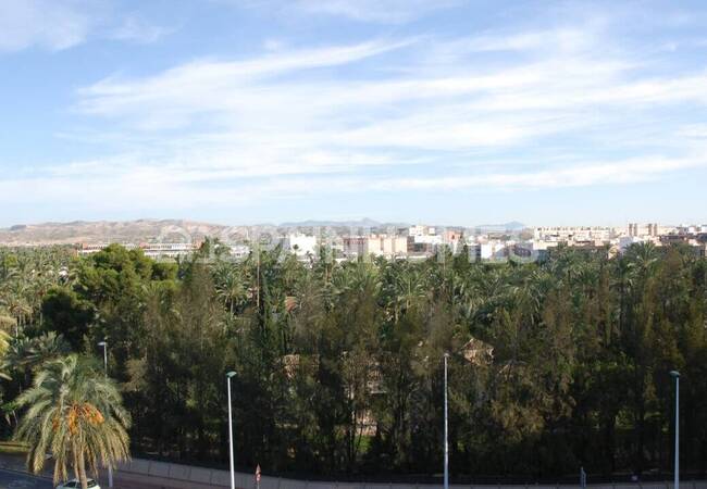 Spacieux Appartements À Vendre Au Centre-ville D'elche 4