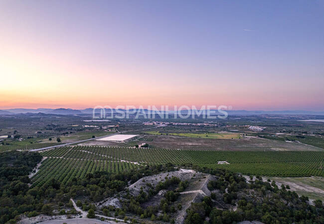 Bungalows with Swimming Pool in San Miguel De Salinas 31