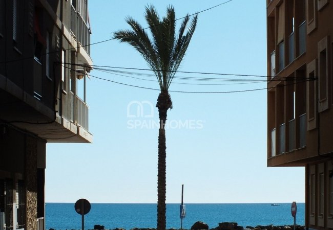 Torrevieja Alicante'de Çatı Havuzlu ve Mahzenli Daireler 3