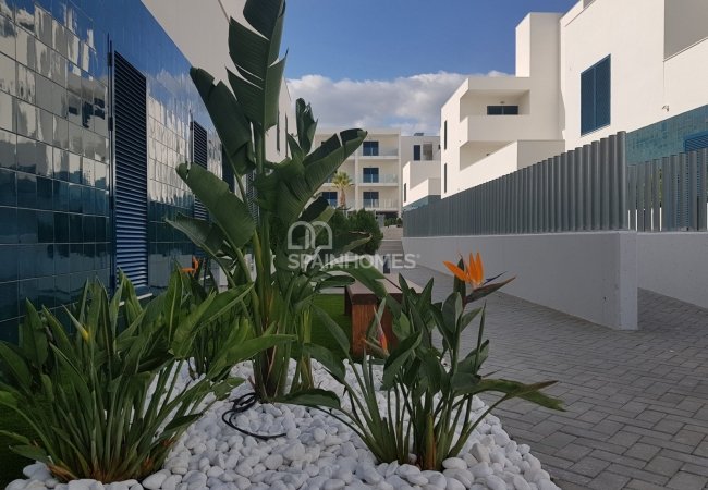 Ready to Move-in Apartments for Sale in Playa Flamenca