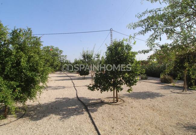 Villa En Perfecto Estado En Una Gran Parcela En Alicante 12