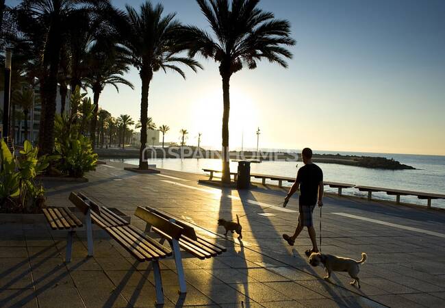 Contemporary Apartments with Storage Room and Garage in Costa Blanca 12
