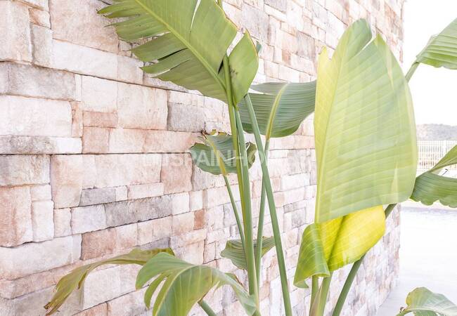 Отдельные Виллы с Просторными Интерьерами в Финестрате 20