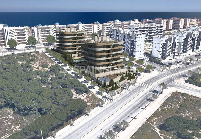 Compact Apartments in a Walking Distance to Sea in Alicante 1