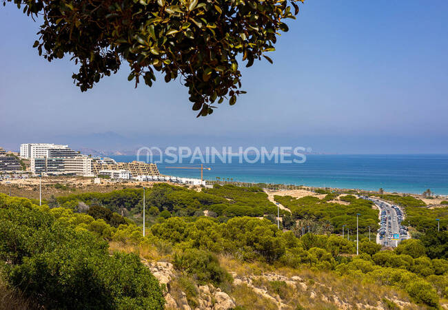 Compact Apartments in a Walking Distance to Sea in Alicante 4