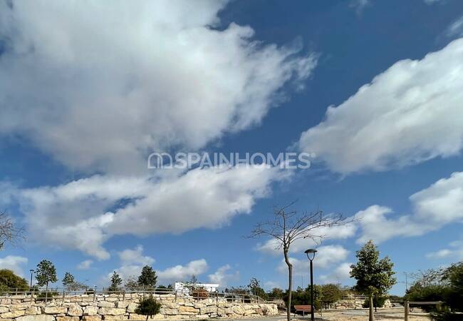 Villas Within Walking Distance of Beach in Mil Palmeras 11