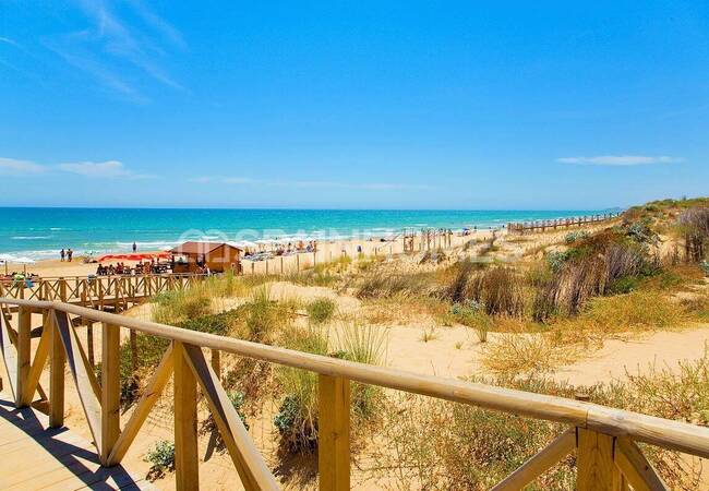 Apartamentos Cerca De La Playa En Guardamar Del Segura 24