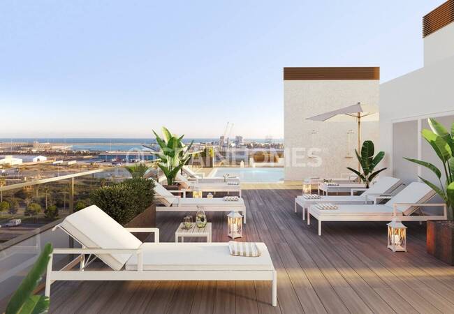 Apartments Close to the Beach and Downtown in Alicante City 4