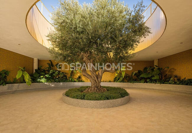 Видовые Квартиры Рядом с Пляжем в Бенидорме, Коста-Бланка 11