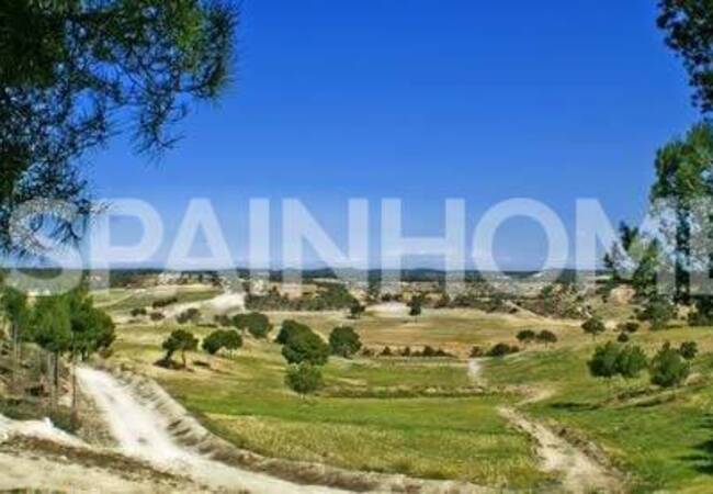 Modern Detached Villa for Sale in Pinar De Campoverde 3