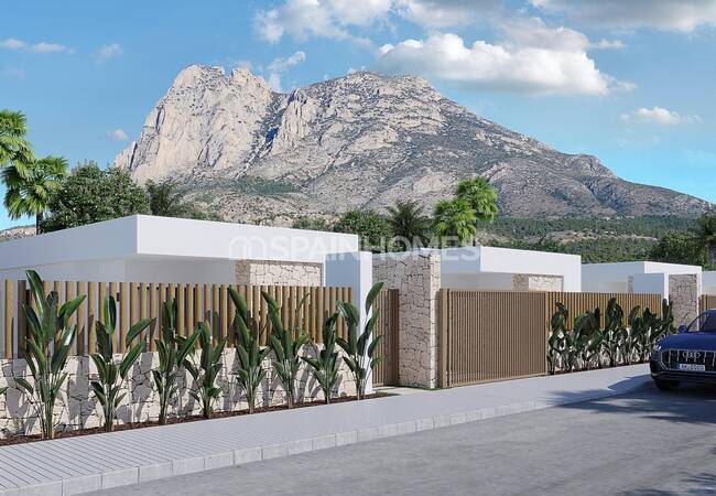 Spacious Detached Villas with Pool and Garden in Finestrat 2