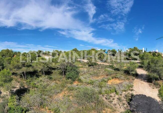 San Miguel De Salinas'ta Ayrıcalıklı Bölgede Modern Daireler 3