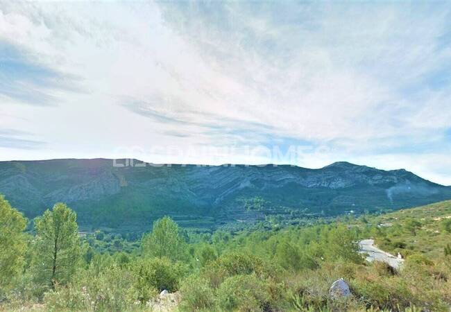 Detached Villa Intertwined with Nature in Pedreguer Alicante 8