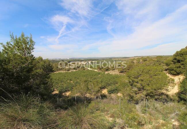 Detached House with Private Pool in Villamartin Costa Blanca 13