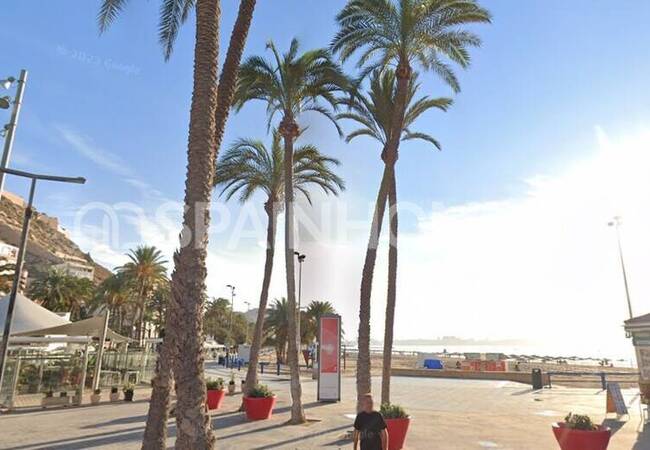 Apartment with City Views in City Center of Alicante 4