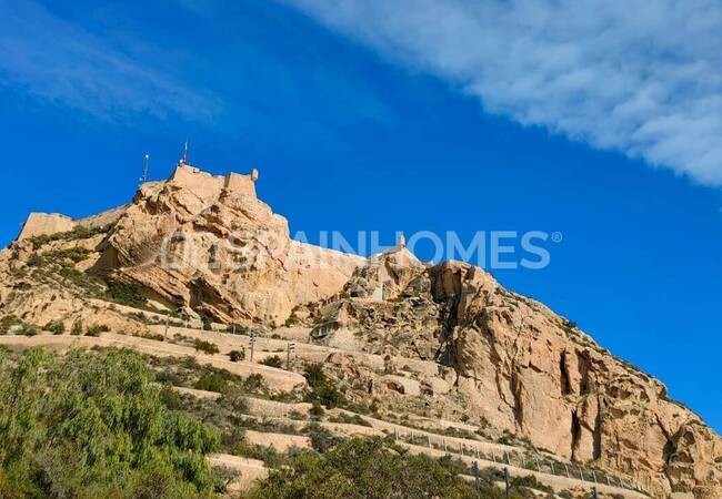 Apartment with City Views in City Center of Alicante 3