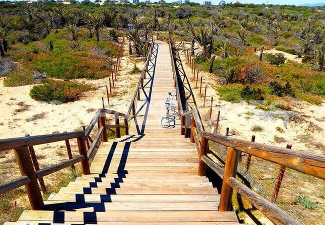 Apartments Close to the Beach in Guardamar Del Segura 6