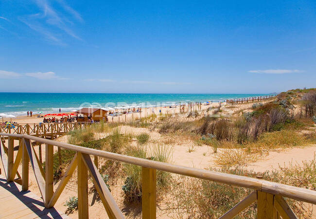 Apartments Close to the Beach in Guardamar Del Segura 5