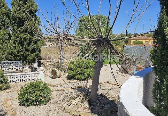 Well-located Country House with Private Pool in Alicante 11