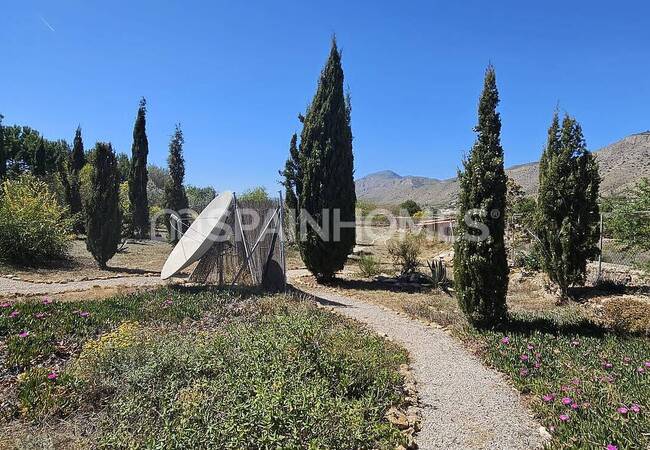 Well-located Country House with Private Pool in Alicante 5