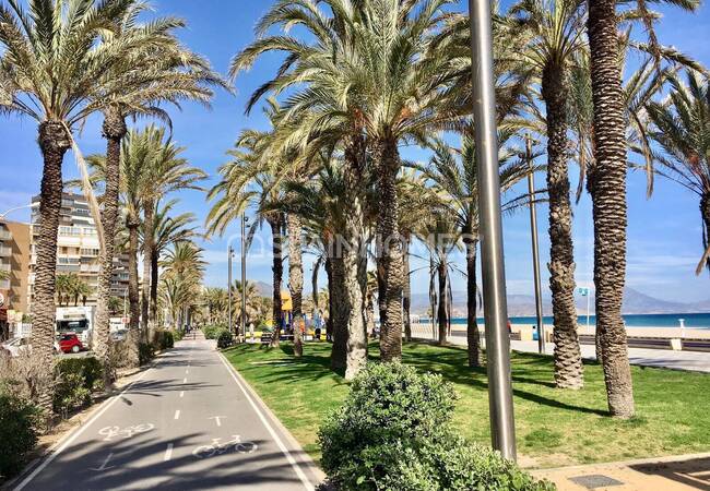 Appartement De 3 Chambres Vue Mer À San Juan Alicante 5