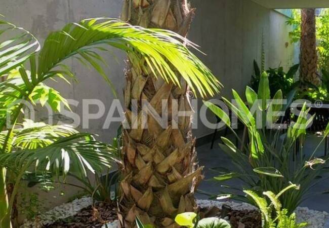 Alicante'de Plajın Yanı Başında Anahtar Teslim Villa 1