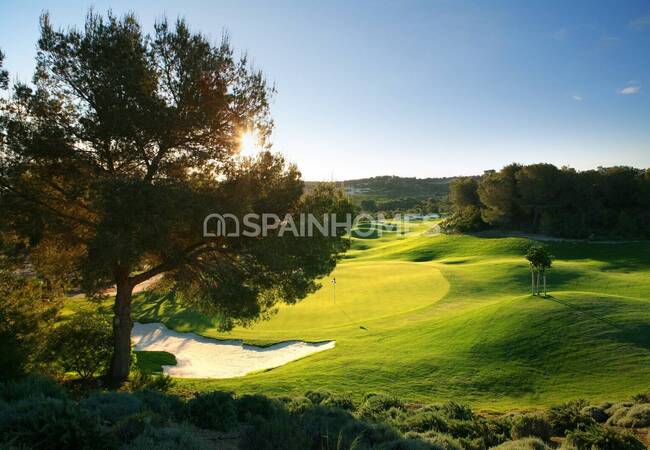 Luxury Golf House in San Miguel De Salinas Alicante 13