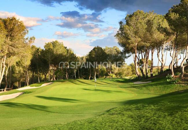 Luxury Golf House in San Miguel De Salinas Alicante 14