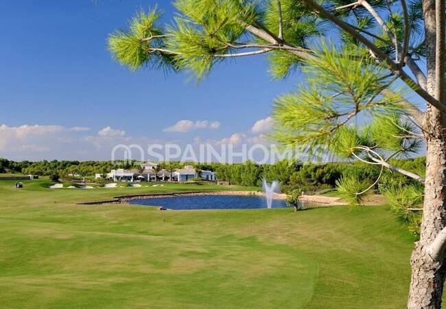 Luxury Golf House in San Miguel De Salinas Alicante 16