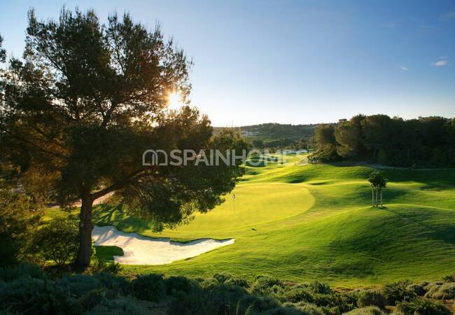 Detached Villa in a Golf Resort in San Miguel De Salinas 5