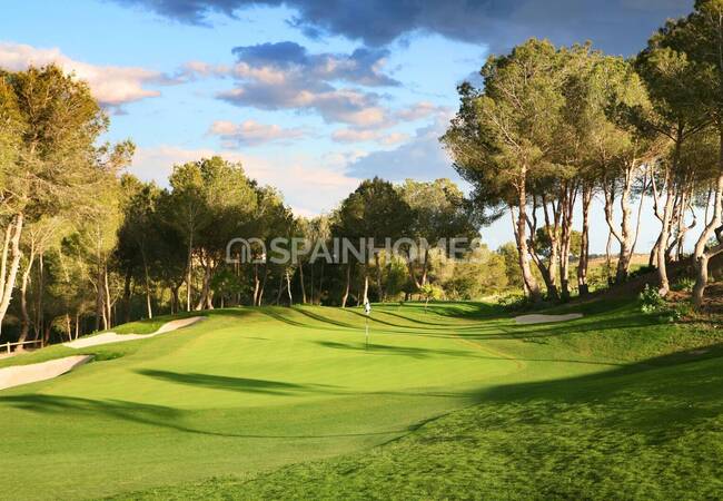 Detached Villa in a Golf Resort in San Miguel De Salinas 9