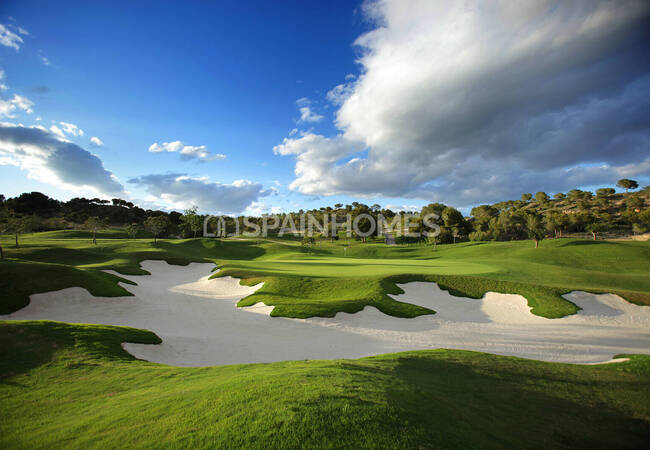 Detached Villa in a Golf Resort in San Miguel De Salinas 7