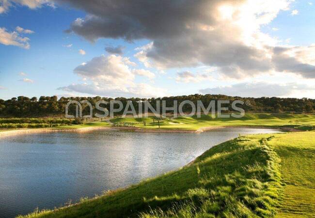 Detached Villa in a Golf Resort in San Miguel De Salinas 4