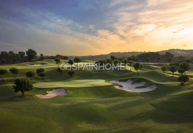 Detached Villa in a Golf Resort in San Miguel De Salinas 8