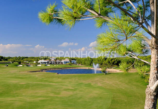 Detached Villa in a Golf Resort in San Miguel De Salinas 3