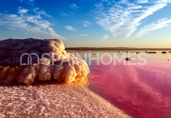 Real Estate 300 Meters From the Beach in Torrevieja 12