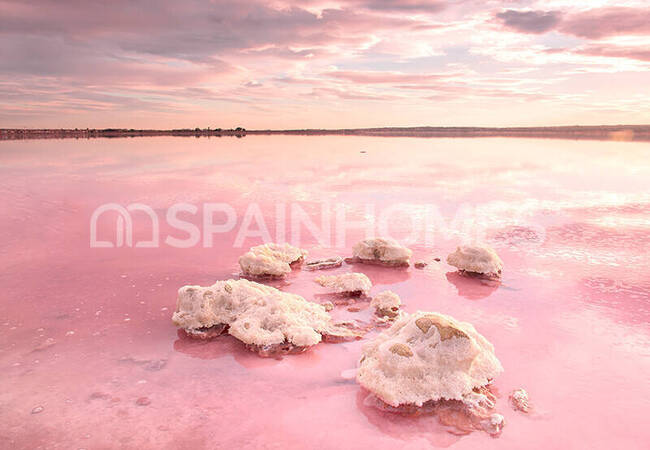 Maisons De 3 Chambres Avec Piscine Proches De Commodités À Torrevieja 6