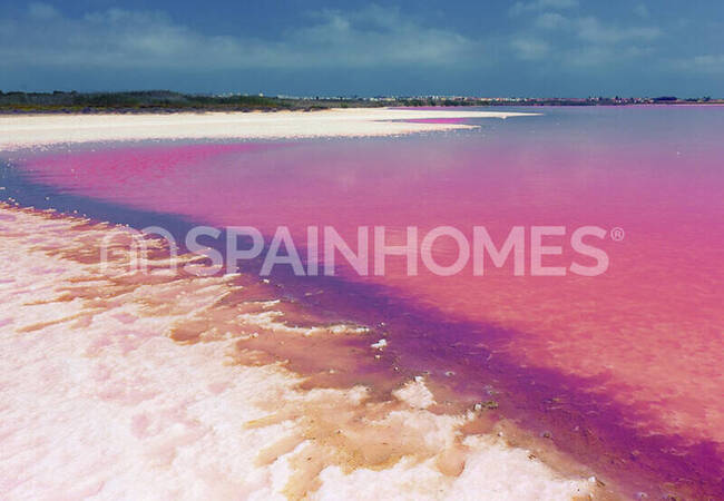 Maisons De 3 Chambres Avec Piscine Proches De Commodités À Torrevieja 8