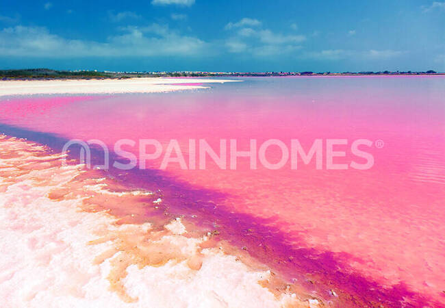 Maisons De 3 Chambres Avec Piscine Proches De Commodités À Torrevieja 7