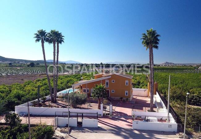 Amplia Villa Con Piscina Y Parking En Orihuela Centro