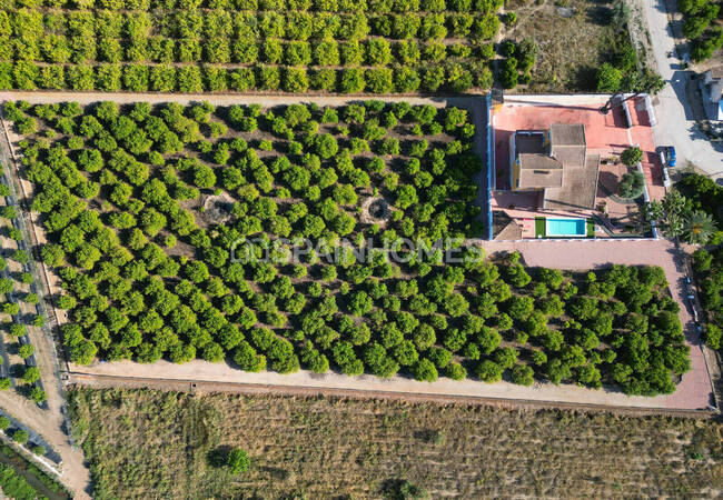 Rymlig Villa Med Pool Och Parkering I Orihuela Centro 27