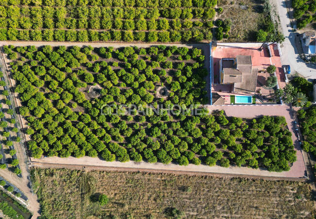 Rymlig Villa Med Pool Och Parkering I Orihuela Centro 26