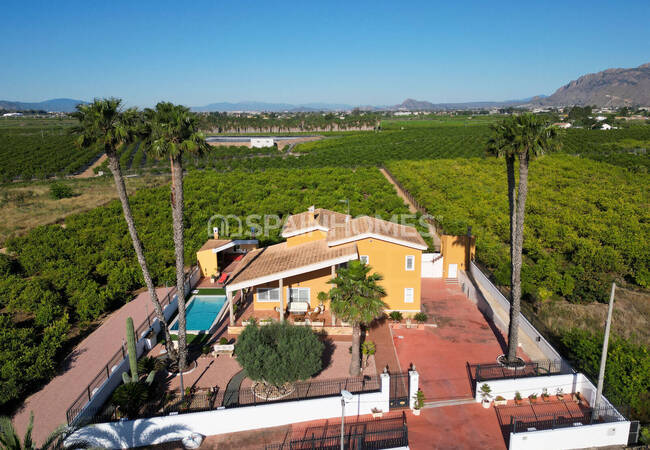 Rymlig Villa Med Pool Och Parkering I Orihuela Centro 16