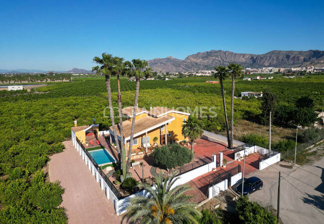 Rymlig Villa Med Pool Och Parkering I Orihuela Centro 17