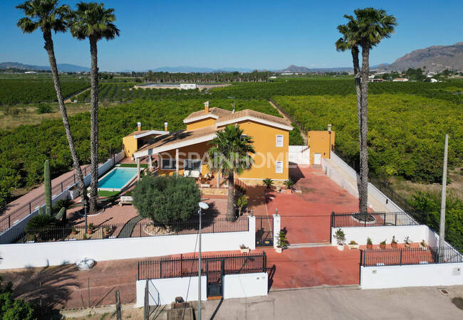 Rymlig Villa Med Pool Och Parkering I Orihuela Centro 11