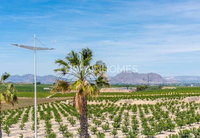 Villa's Dichtbij De Voorzieningen In Algorfa Alicante 17