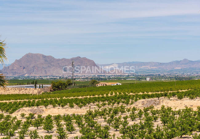 Villa's Dichtbij De Voorzieningen In Algorfa Alicante 16