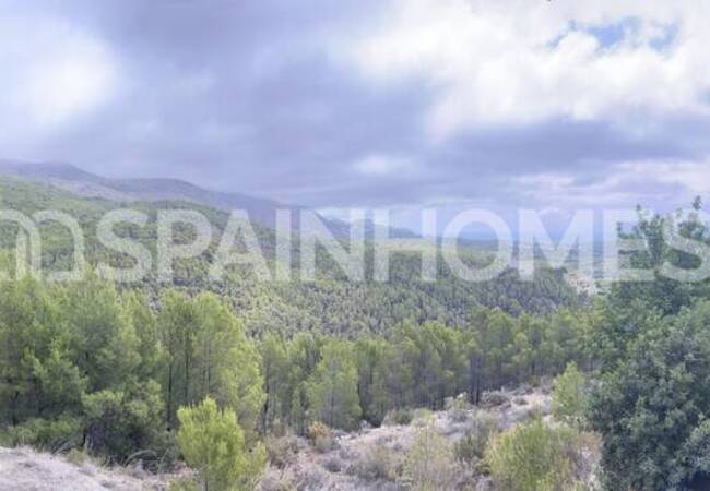 Altea Costa Blanca'da 7716 M² Deniz Manzaralı Arazi 15