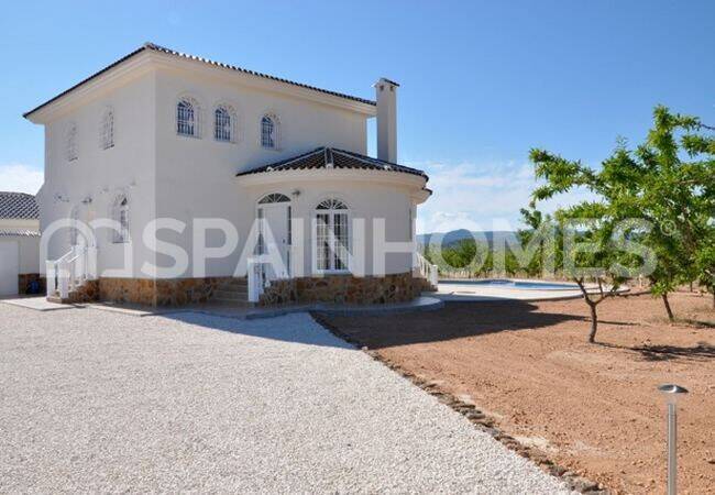 Spacious 4-bedroom Houses with Pools in Aspe Alicante 1