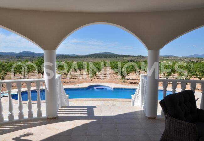 Spacious 4-bedroom Houses with Pools in Aspe Alicante 2